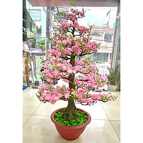 Mua Cây Hoa Đào Bonsai Nhựa Cao 115 cm Chậu Hoa Đào Trang Trí Tết