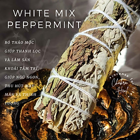 White Sage Mix Peppermint (Xô Thơm Trắng Mix Bạc Hà)  - Thảo Mộc Thư Giãn, Thu Hút May Mắn l Charka Heal Incense