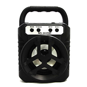 Loa bluetooth xách tay MS-1619BT