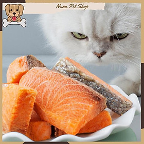 Cá hồi sấy nguyên miếng cao cấp cho thú cưng, cá hồi sấy khô cho chó mèo giàu dinh dưỡng (Túi 100gr)