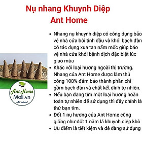 Mua Tặng đĩa sòNụ Palo Santo thủ công - Túi 10 nụ  Gỗ trắc xanh nhập khẩu  giúp thanh lọc không gian