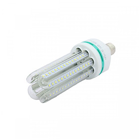 Mua Bóng đèn Led chữ U Cao Cấp