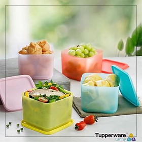 Mua Bộ 4 hộp trữ mát Medium Square Round Tupperware 1L (màu mới)