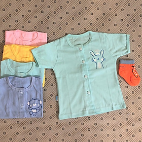 Combo 5 áo sơ sinh cotton tay ngắn màu cài nút giữa Thái Hà Thịnh ( Quà tặng đi kèm 1 đôi tất amigo size tương ứng, màu ngẫu nhiên)