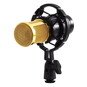 Mua Mic Thu Âm Bm 800 - Hàng Nhập Khẩu