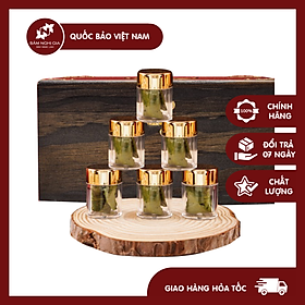 LÁ SÂM NGỌC LINH - QUỐC BẢO VIỆT NAM | SÂM NGHỊ GIA NGỌC LINH