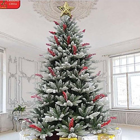 Cây thông noel PE phủ tuyết gắn trái đỏ 1m5 - Cây tự động bung - Loại cây đẹp sang trọng