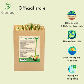 Ống hút cỏ Green Joy - Túi 500 ống