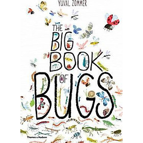 Sách - The Big Book of Bugs by Yuval Zommer (UK edition, hardcover)