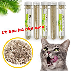 CỎ MÈO CATNIP XẢ STRESS DÀNH CHO MÈO AN TOÀN