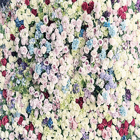 Mua Phông 3D chụp hình cưới  ảnh nghệ thuật độc đáo – mã W086