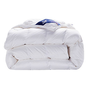 Mua Ruột Chăn Lông Ngỗng Cao Cấp (200 x 230 cm)