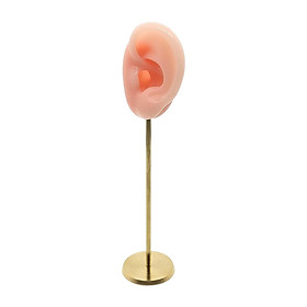 Silicone Ear Molds Earring Display Stand Photography Display Props Showcase