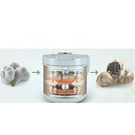 Mua Máy Làm Tỏi Đen Tiross TS906 - Màu Bạc - Hàng chính hãng