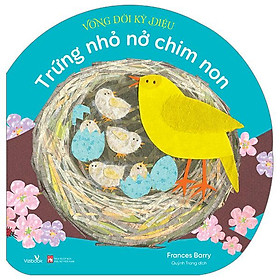 Vòng đời kỳ diệu - trứng nhỏ nở chim non
