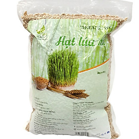 Hạt giống cỏ lúa mì Viet Healthy Túi 3kg