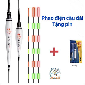 Phao điện câu đài ban đêm ban ngày loại cao cấp Phao điện đổi màu chuyên săn hàng tặng kèm pin CR 425