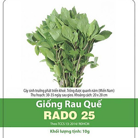 Hạt Giống Rau Quế, Húng Quế 10Gram