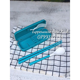 Mua Bộ đũa muỗng nĩa cá nhân Portable Chopstick Tropical