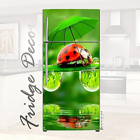 Mua Decal 3D dán Cửa Tủ Lạnh chống thấm cao cấp mẫu sao biển (60x130cm/150cm/180cm)
