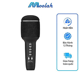 Mua Micro Không Dây Hát Karaoke Kèm Loa Bluetooth Mini Cao Cấp WS-900 Nâng giọng cực chất Loa Bluetooth Karaoke Mini Gia Đình Có Thu Âm Có Thẻ Nhớ USB AUX Mic LiveStream Không Dây Giá Rẻ Bản Nâng Cấp