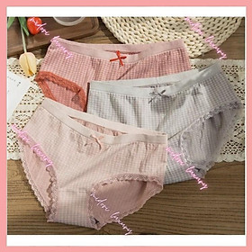 Combo 5 Quần lót nữ  Quần lót cotton co dãn kháng khuẩn siêu thấm hút kèm túi zip