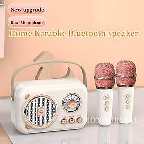 Loa bluetooth karaoke ngoài trời mini với loa siêu loãng micrô không dây Color: Dual Microphone