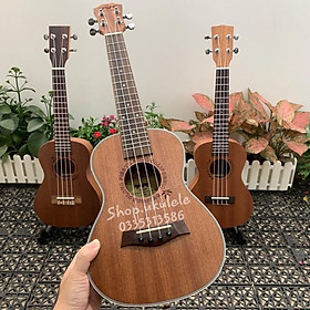 Mua UKULELE CONCERT BWS