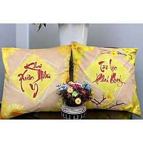 Mua Set 2 Vỏ gối Xuân