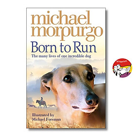 Born to Run by Michael Morpurgo - Children Story book in English - Sách Ngoại Văn Nhập Khẩu - Harper Collins Children's Books