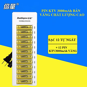 Bộ sạc pin AA/AAA Doublepow DP-K12 Tự ngắt + 12 pin tiểu sạc AA KTV3000mAh Hàng Chính Hãng