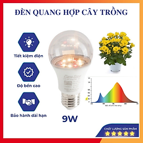 Đèn quang hợp, đèn trồng cây trong nhà 6W