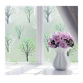 Mua Combo 5m Decal Giấy Dán Kính Cây Xanh (5mx0.45m)