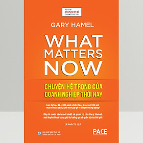 Chuyện Hệ Trọng Của Doanh Nghiệp Thời Nay - (What Matters Now) - Gary Hamel - PACE Books