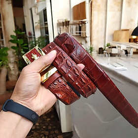 Dây Nịt Da Cá Sấu [DÂY LIỀN NGUYÊN CON] Da Lưng Cá Sấu Có Gù, Gai Và Vây Rất Đẹp - Nâu đỏ