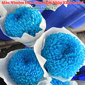 Nước Màu Nhuộm Hoa Tươi Cao Cấp Nhập Khẩu (Chai 1 Lít hoàn chỉnh nhuộm 250 cành) Color Premium For Fresh Flowers