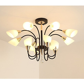 Đèn chùm ASHEN kiểu dáng hiện đại trang trí nội thất sang trọng.
