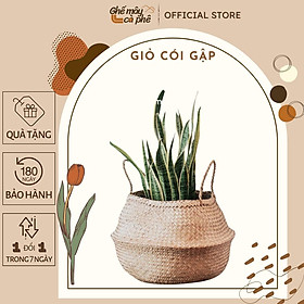 Mua Giỏ cói đa năng BELLY làm chậu cây  đựng đồ decor phòng khách/phòng ngủ/ban công phong cách vintage