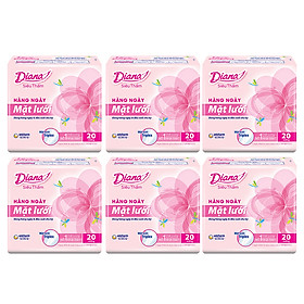 Combo 6 Băng Vệ Sinh Hàng Ngày Diana Daily Hương Hoa Mặt Lưới (Gói 20 Miếng)
