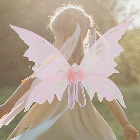 Butterfly Fairy Wing Fancy Dress Costume Girls Child Prop Festival Dress up