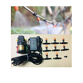 Mua Bộ tưới phun sương tăng áp thích hợp cho vườn sân thượng  ban công  tưới cây cảnh 8 béc 10m dây kem máy bơm