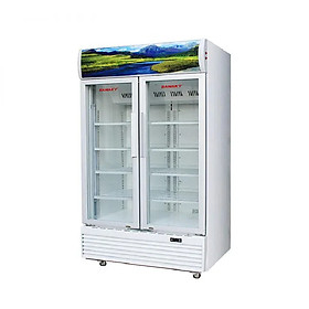 Mua Tủ mát Sanaky Inverter 1000 lít 2 cửa mở VH-1209HP3 - HÀNG CHÍNH HÃNG - CHỈ GIAO HCM