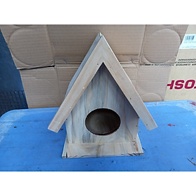 Tổ chim vẹt , sóc nhím