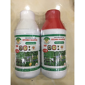 Mua Bộ 2 chai Phân bón dinh dưỡng thủy canh HYDRO MASTER chuyên dùng cho các loại rau ăn lá