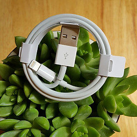 Dây cáp sạc dành cho iphone / ipad chuẩn ( Cổng USB to lightning)