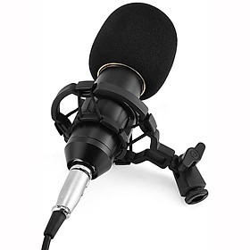 Mua MICRO THU ÂM TẠI NHÀ CHUYÊN NGHIỆP  Mic Livestream Hát Karaoke Online VINETTEAM BM900 BM-900 -DC3406- Hàng nhập khẩu giao màu ngẫu nhiên