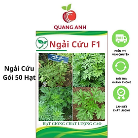 Mua Hạt Giống Rau Ngải Cứu F1 - Ngải Cứu 4 Mùa Phát Triển - Gói 50 Hạt
