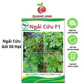 Hạt Giống Rau Ngải Cứu F1 - Ngải Cứu 4 Mùa Phát Triển - Gói 50 Hạt