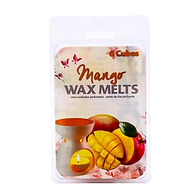 Mua Bộ 6 Sáp Thơm Đốt Hương Xoài Uncle Bills DH0359