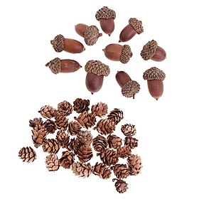40x Dried Pinecones Acorns Christmas Decorations Crafts Home Table Ornaments